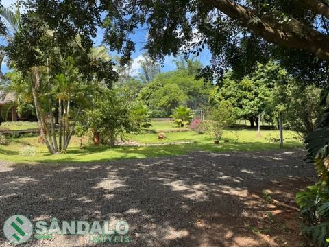 Foto Fazenda / Sítio / Chácara
