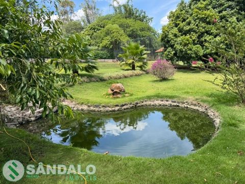 Foto Fazenda / Sítio / Chácara