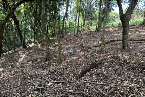 Foto Terreno