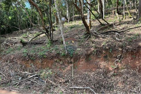 Foto Terreno