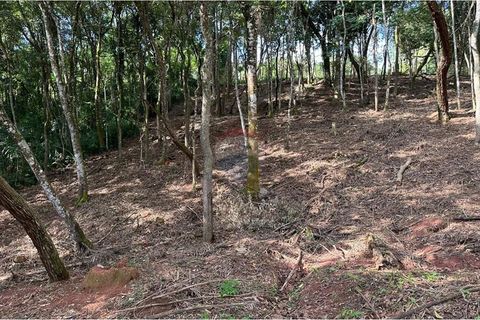 Foto Terreno