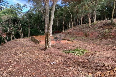 Foto Terreno