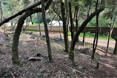 Foto Terreno