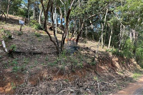 Foto Terreno
