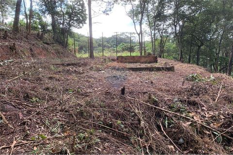 Foto Terreno