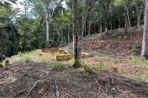 Foto Terreno