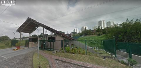 Foto Terreno