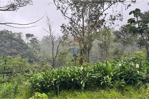Foto Terreno