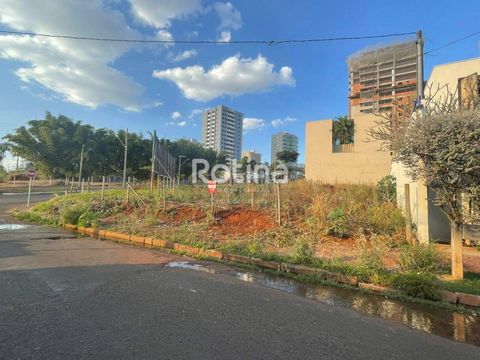 Foto Terreno