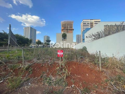 Foto Terreno