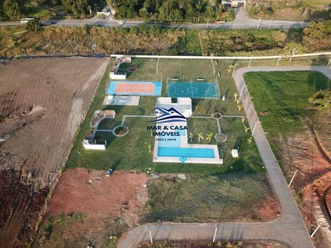 Foto Terreno