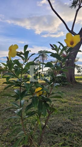 Foto Fazenda / Sítio / Chácara