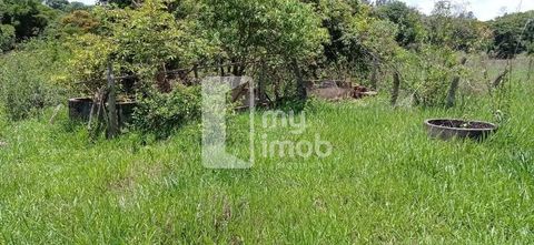 Foto Fazenda / Sítio / Chácara