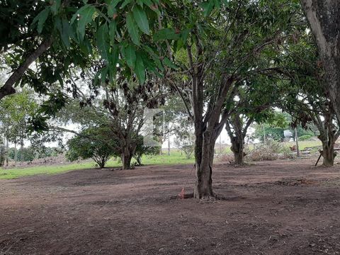 Foto Fazenda / Sítio / Chácara