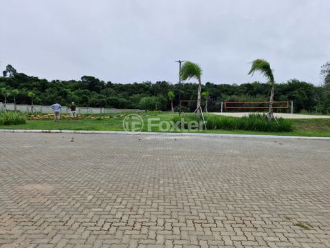 Foto Terreno