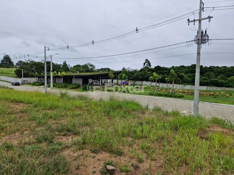 Foto Terreno