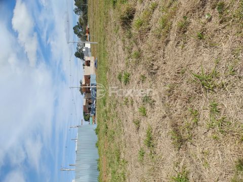 Foto Terreno
