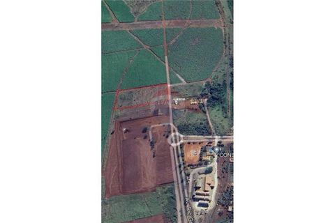 Foto Terreno