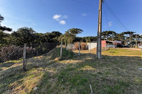 Foto Terreno