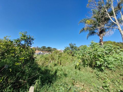 Foto Terreno