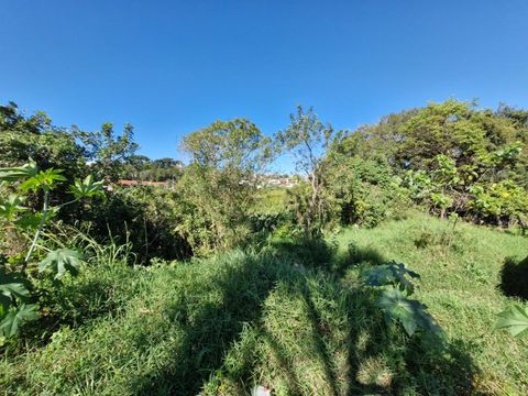 Foto Terreno