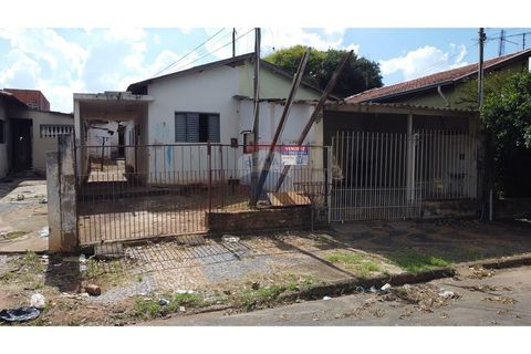 Foto Terreno