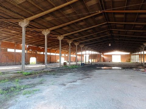Foto Galpão / Depósito / Armazém / Pavilhão