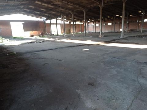 Foto Galpão / Depósito / Armazém / Pavilhão