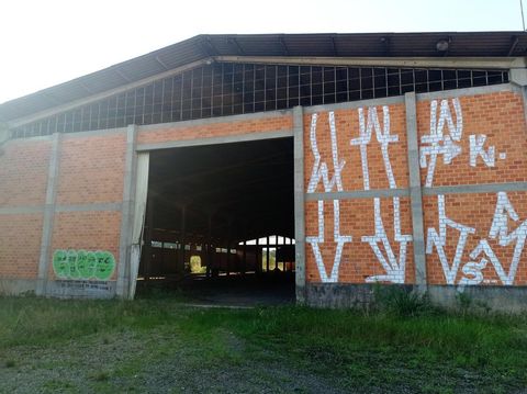 Foto Galpão / Depósito / Armazém / Pavilhão
