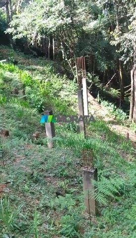 Foto Terreno