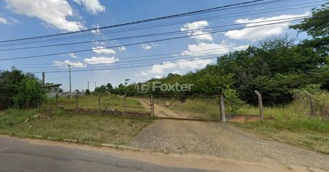 Foto Terreno