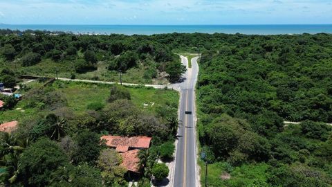 Foto Terreno