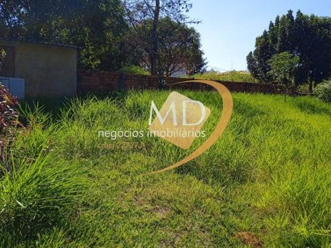 Foto Terreno