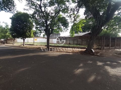Foto Terreno