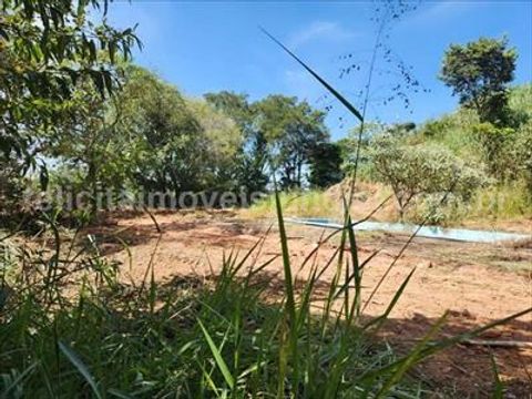 Foto Fazenda / Sítio / Chácara