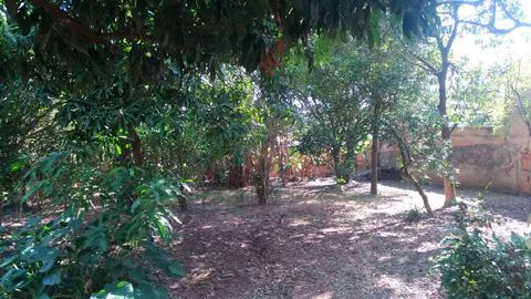 Foto Fazenda / Sítio / Chácara