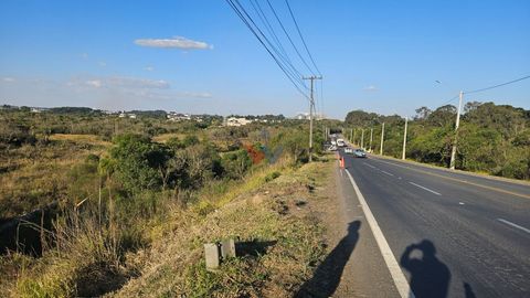 Foto Terreno