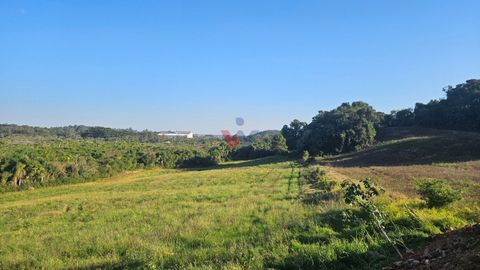 Foto Terreno