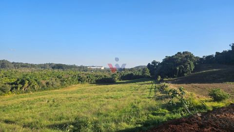 Foto Terreno