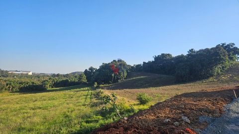 Foto Terreno