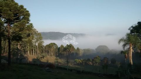 Foto Fazenda / Sítio / Chácara