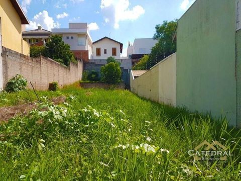 Foto Terreno