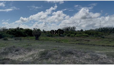 Foto Terreno