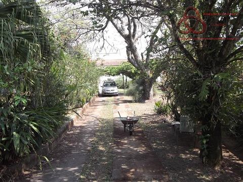 Foto Fazenda / Sítio / Chácara