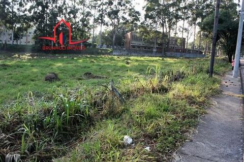 Foto Terreno