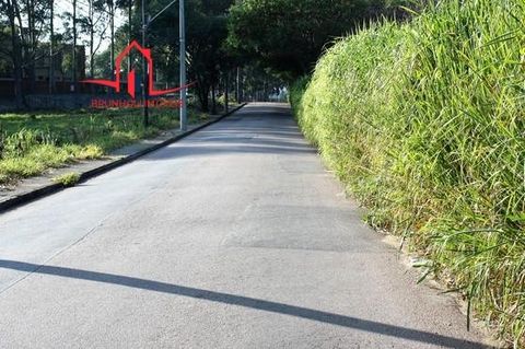 Foto Terreno