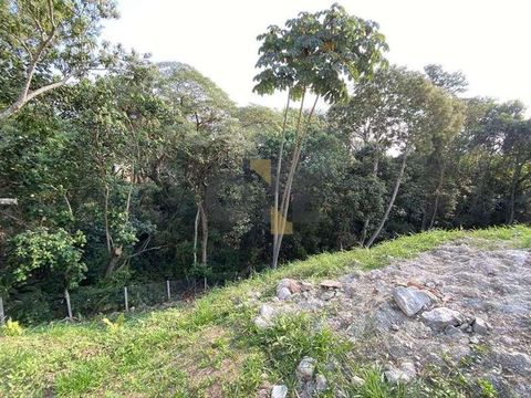 Foto Terreno