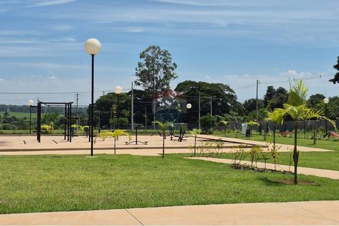 Foto Terreno