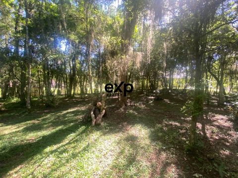 Foto Fazenda / Sítio / Chácara