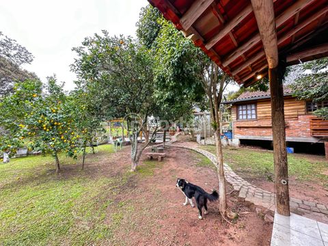 Foto Fazenda / Sítio / Chácara